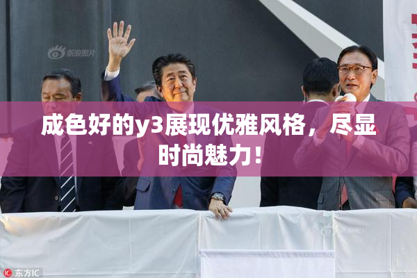 成色好的y3展现优雅风格，尽显时尚魅力！