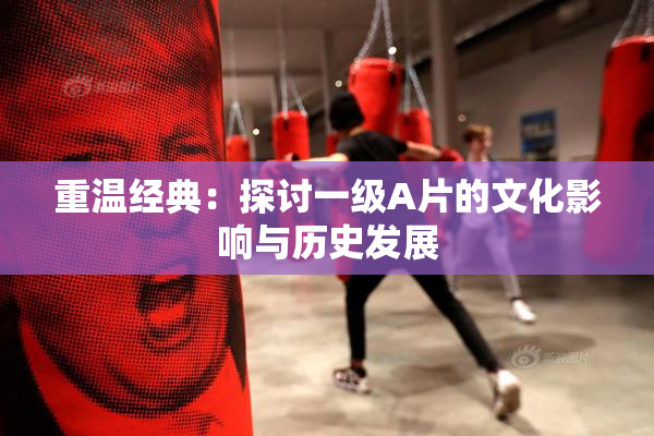 重温经典：探讨一级A片的文化影响与历史发展