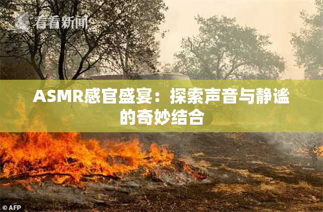 ASMR感官盛宴：探索声音与静谧的奇妙结合