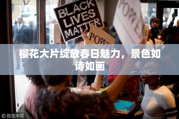 樱花大片绽放春日魅力，景色如诗如画