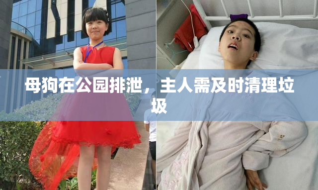 母狗在公园排泄，主人需及时清理垃圾