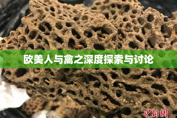 欧美人与禽之深度探索与讨论