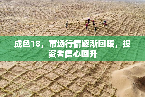 成色18，市场行情逐渐回暖，投资者信心回升