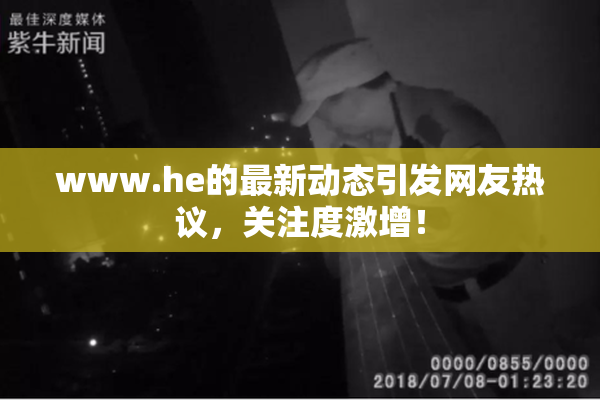 www.he的最新动态引发网友热议，关注度激增！