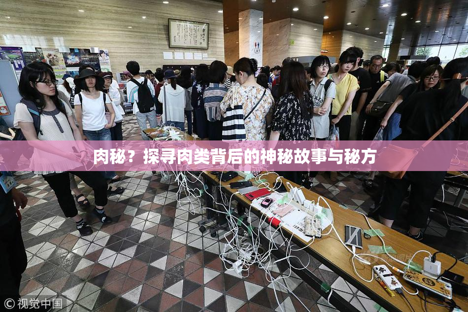 肉秘？探寻肉类背后的神秘故事与秘方