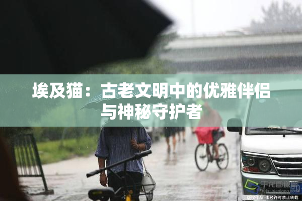 埃及猫：古老文明中的优雅伴侣与神秘守护者