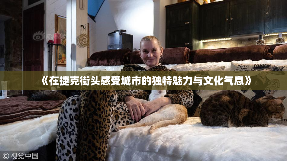 《在捷克街头感受城市的独特魅力与文化气息》