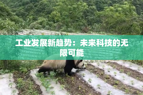 工业发展新趋势：未来科技的无限可能