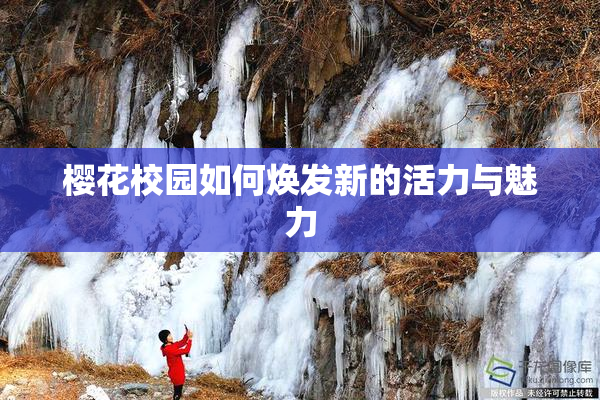 樱花校园如何焕发新的活力与魅力