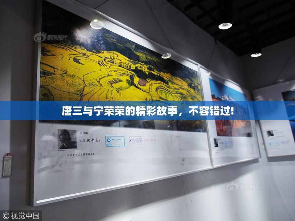 唐三与宁荣荣的精彩故事，不容错过!