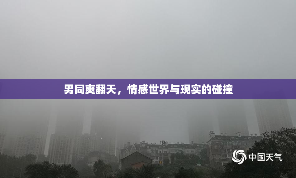 男同爽翻天，情感世界与现实的碰撞