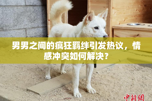 男男之间的疯狂羁绊引发热议，情感冲突如何解决？