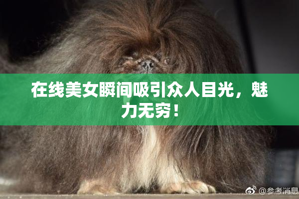 在线美女瞬间吸引众人目光，魅力无穷！