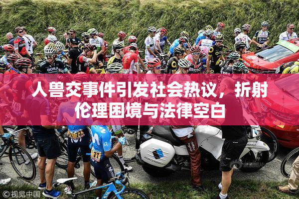 人兽交事件引发社会热议，折射伦理困境与法律空白