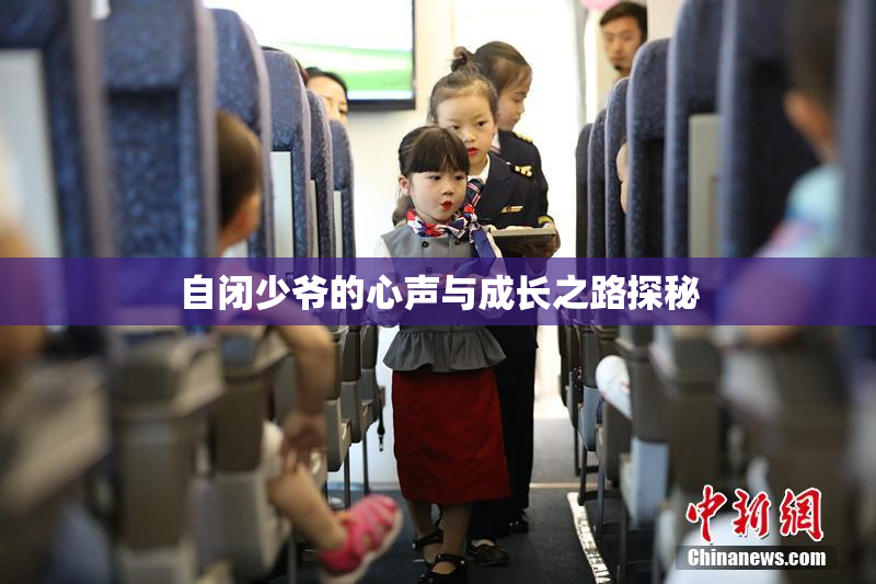 自闭少爷的心声与成长之路探秘