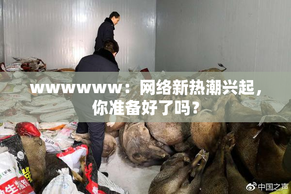 wwwwww：网络新热潮兴起，你准备好了吗？