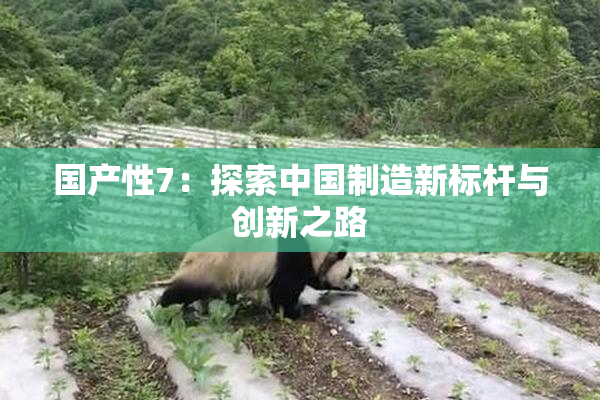 国产性7：探索中国制造新标杆与创新之路