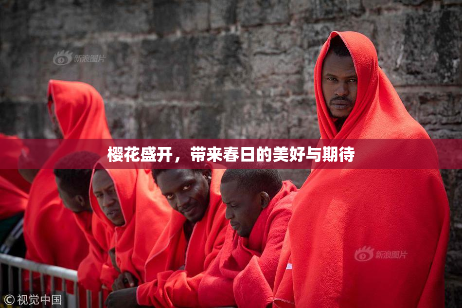 樱花盛开，带来春日的美好与期待