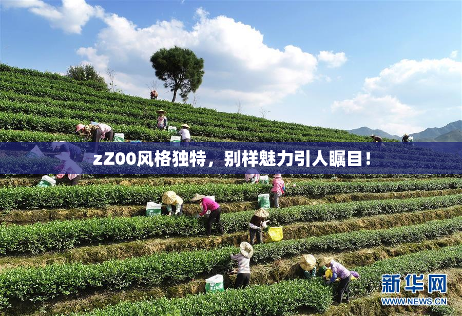 zZ00风格独特，别样魅力引人瞩目！