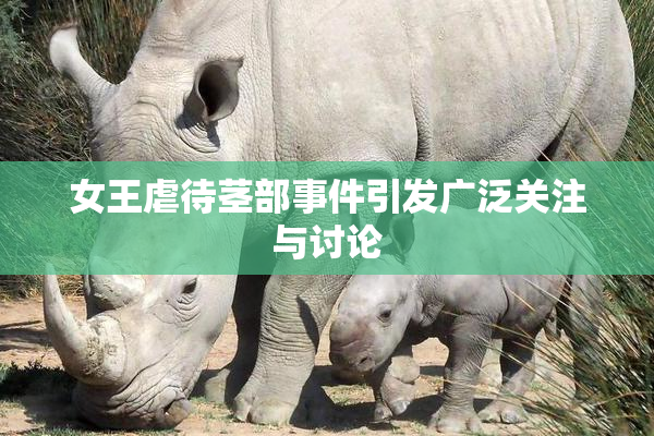 女王虐待茎部事件引发广泛关注与讨论