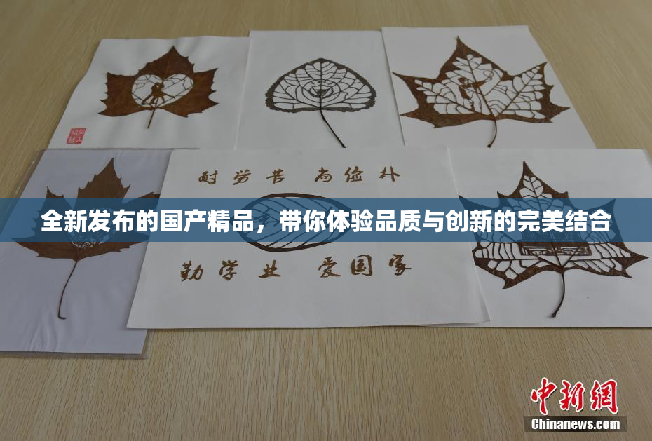 全新发布的国产精品，带你体验品质与创新的完美结合