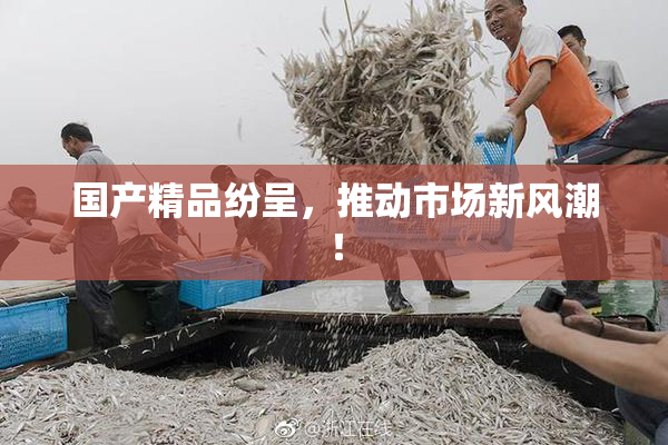 国产精品纷呈，推动市场新风潮！