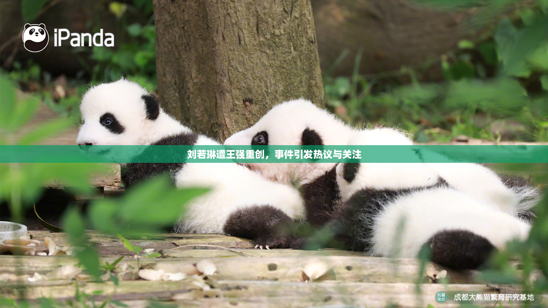 刘若琳遭王强重创，事件引发热议与关注