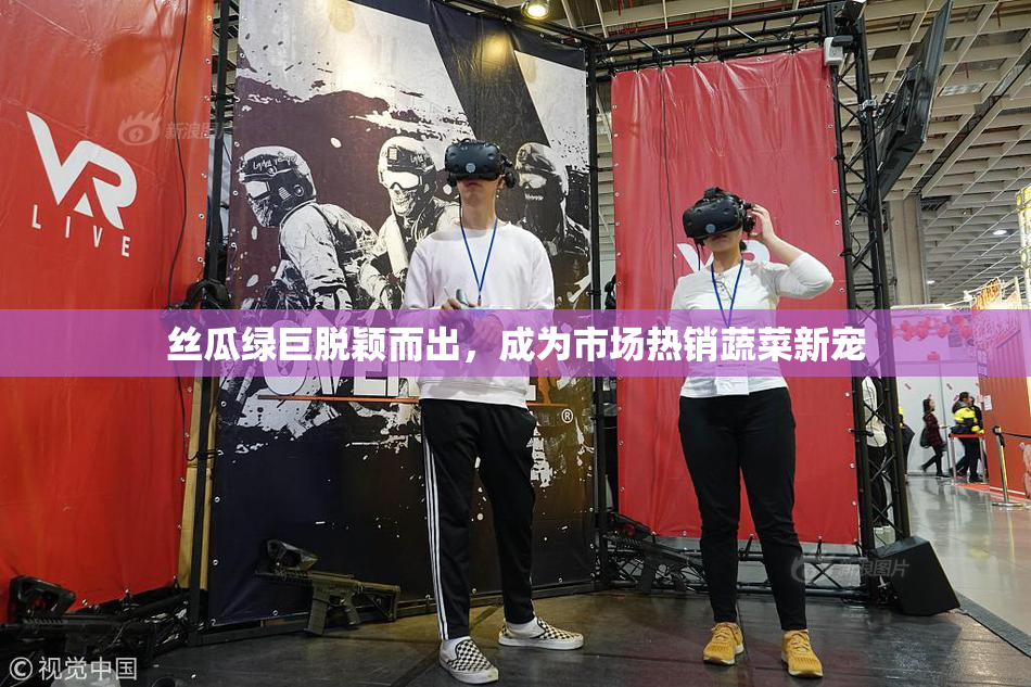 丝瓜绿巨脱颖而出，成为市场热销蔬菜新宠