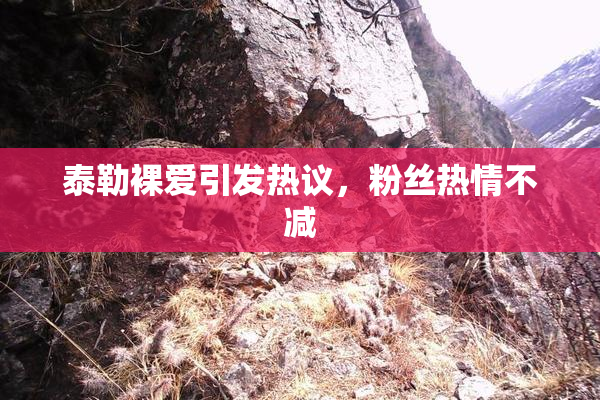 泰勒裸爱引发热议，粉丝热情不减