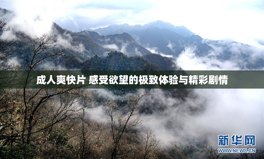 成人爽快片 感受欲望的极致体验与精彩剧情