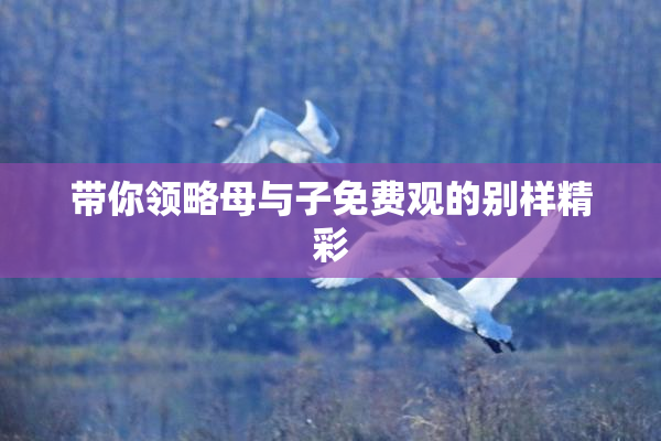 带你领略母与子免费观的别样精彩