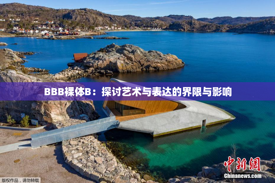 BBB裸体B：探讨艺术与表达的界限与影响
