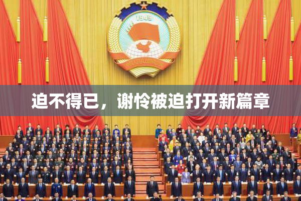 迫不得已，谢怜被迫打开新篇章