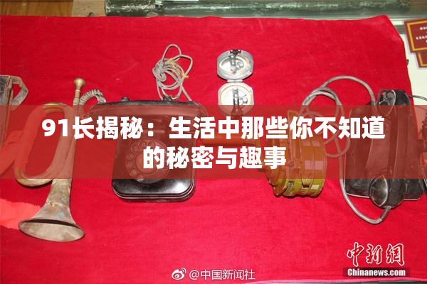 91长揭秘：生活中那些你不知道的秘密与趣事