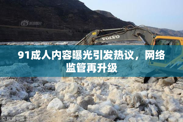 91成人内容曝光引发热议，网络监管再升级