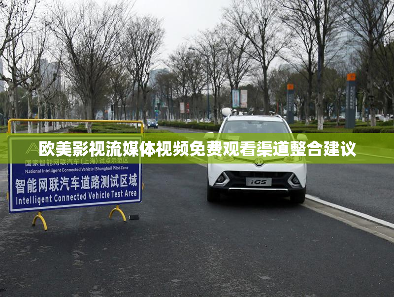 欧美影视流媒体视频免费观看渠道整合建议
