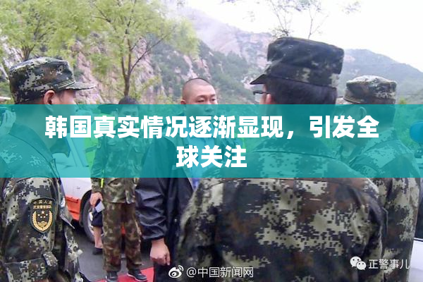 韩国真实情况逐渐显现，引发全球关注