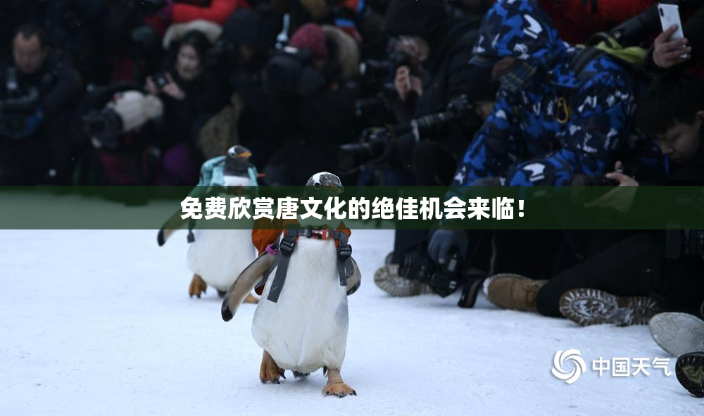 免费欣赏唐文化的绝佳机会来临！