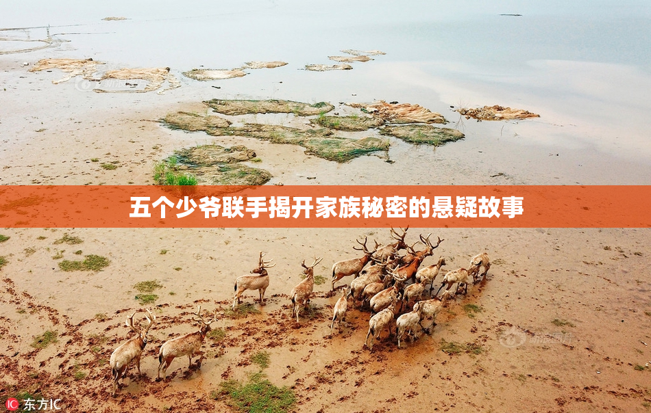 五个少爷联手揭开家族秘密的悬疑故事