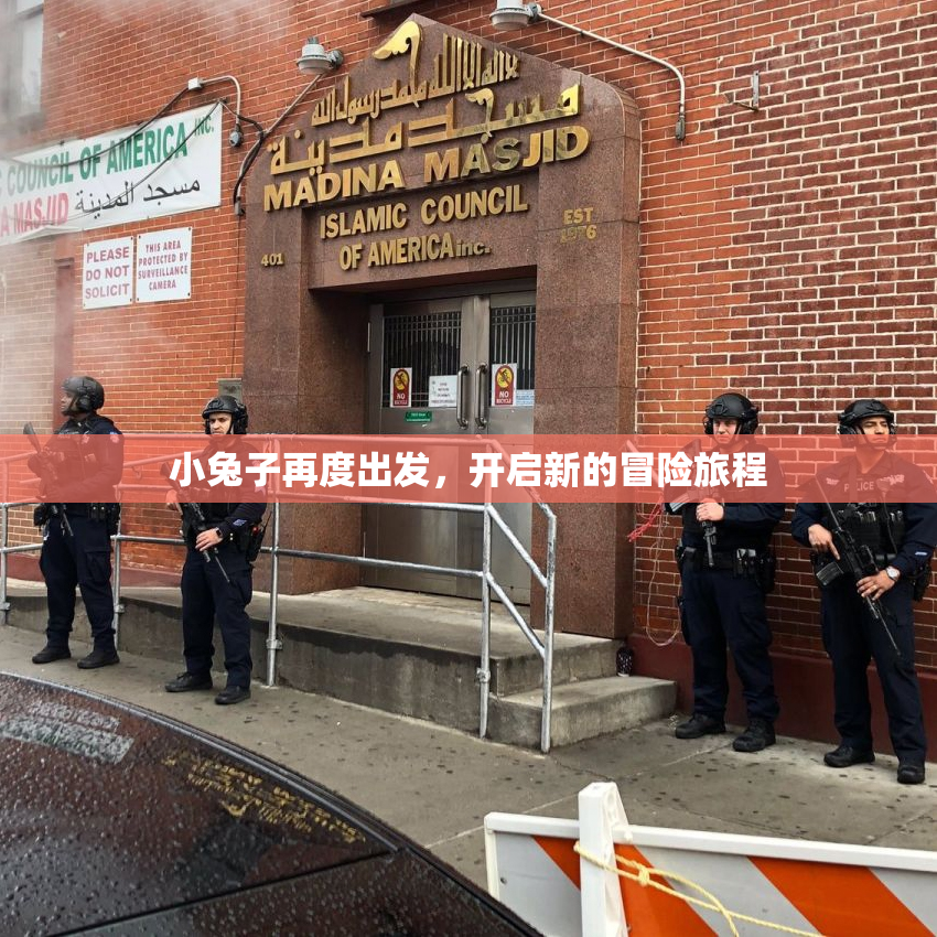 小兔子再度出发，开启新的冒险旅程