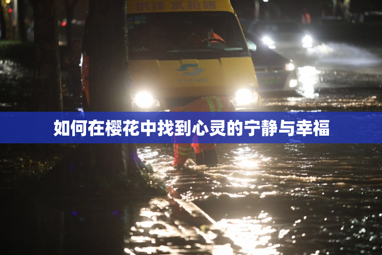 如何在樱花中找到心灵的宁静与幸福