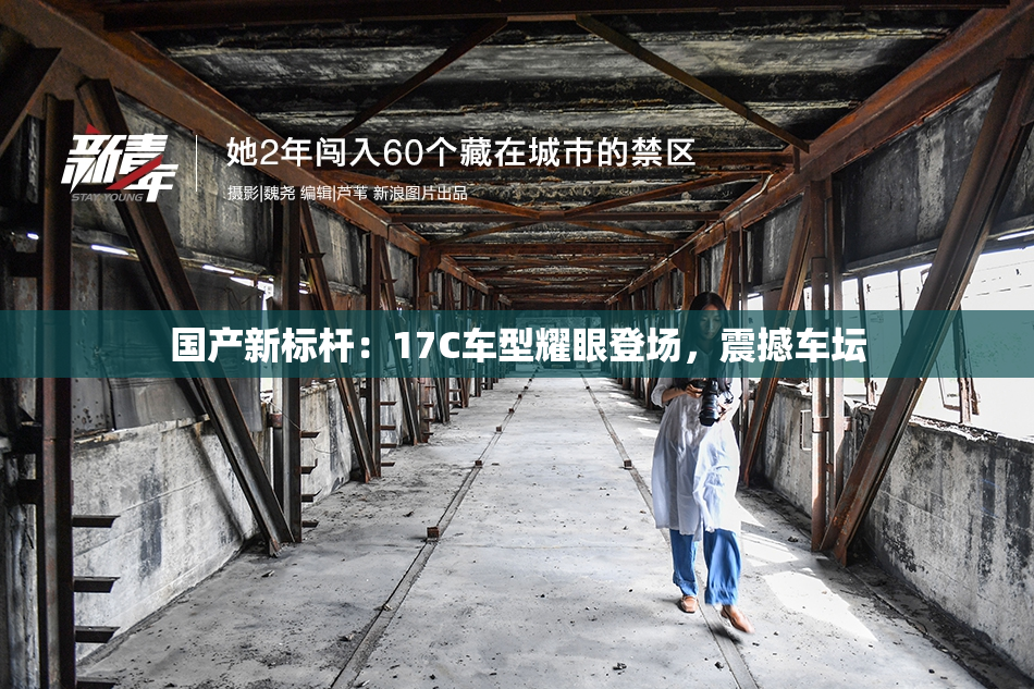 国产新标杆：17C车型耀眼登场，震撼车坛