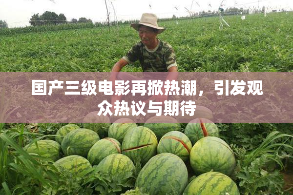 国产三级电影再掀热潮，引发观众热议与期待