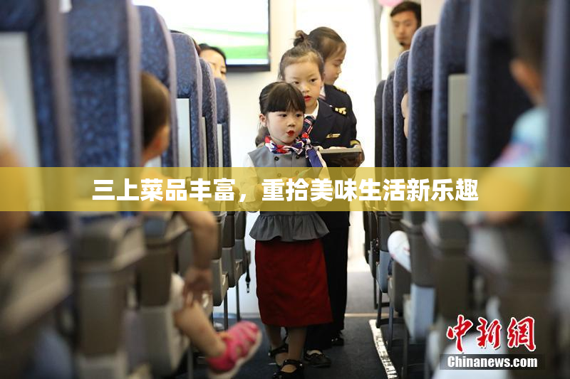 三上菜品丰富，重拾美味生活新乐趣
