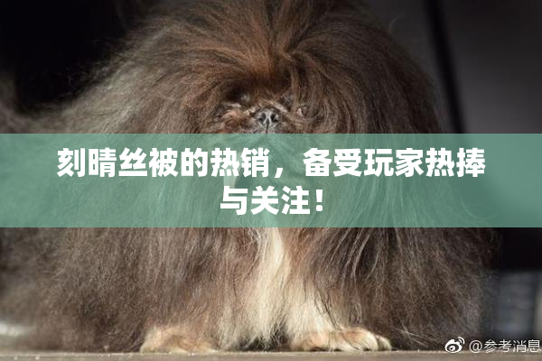 刻晴丝被的热销，备受玩家热捧与关注！