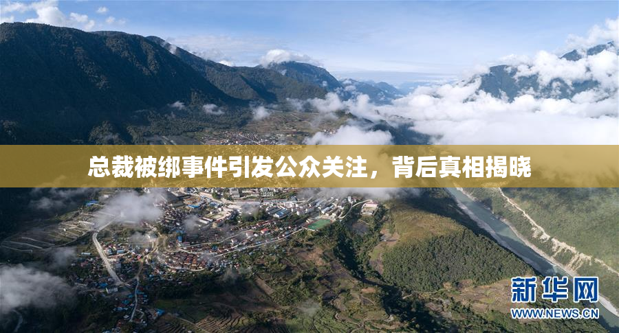 总裁被绑事件引发公众关注，背后真相揭晓