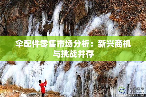 伞配件零售市场分析：新兴商机与挑战并存