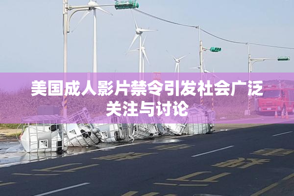 美国成人影片禁令引发社会广泛关注与讨论