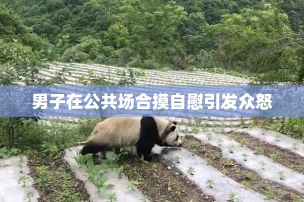 男子在公共场合摸自慰引发众怒