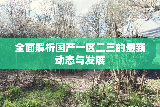 全面解析国产一区二三的最新动态与发展